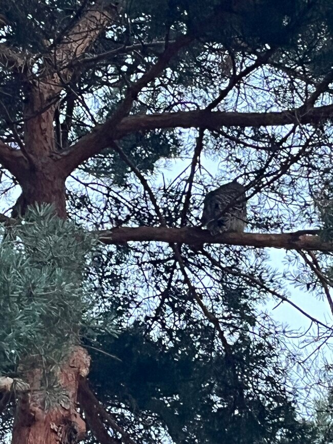 Talent Parkside Apartments Talent, OR