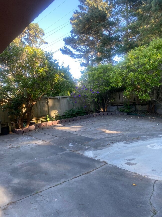 Photo - 204 Palisades Dr