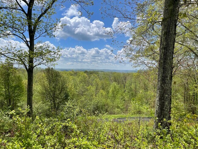 Photo - 170 Rabbit Hill Rd