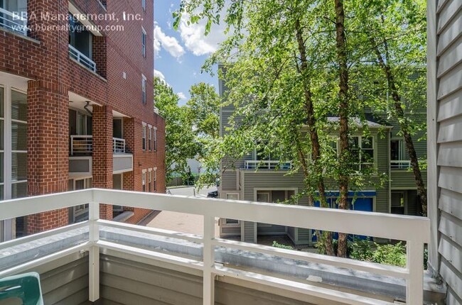 6 Chestnut St