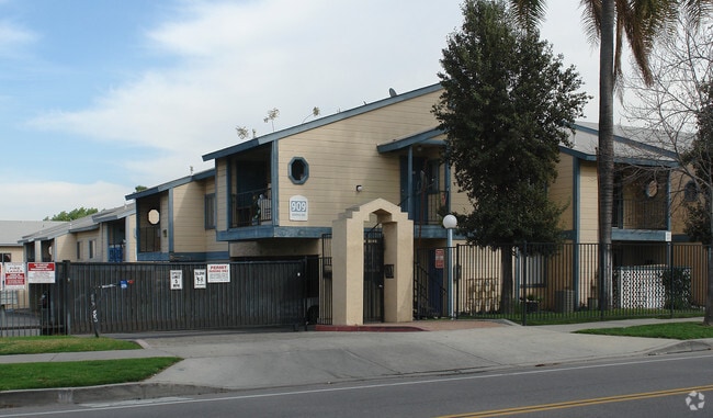 Jasmine Springs - Jasmine Springs