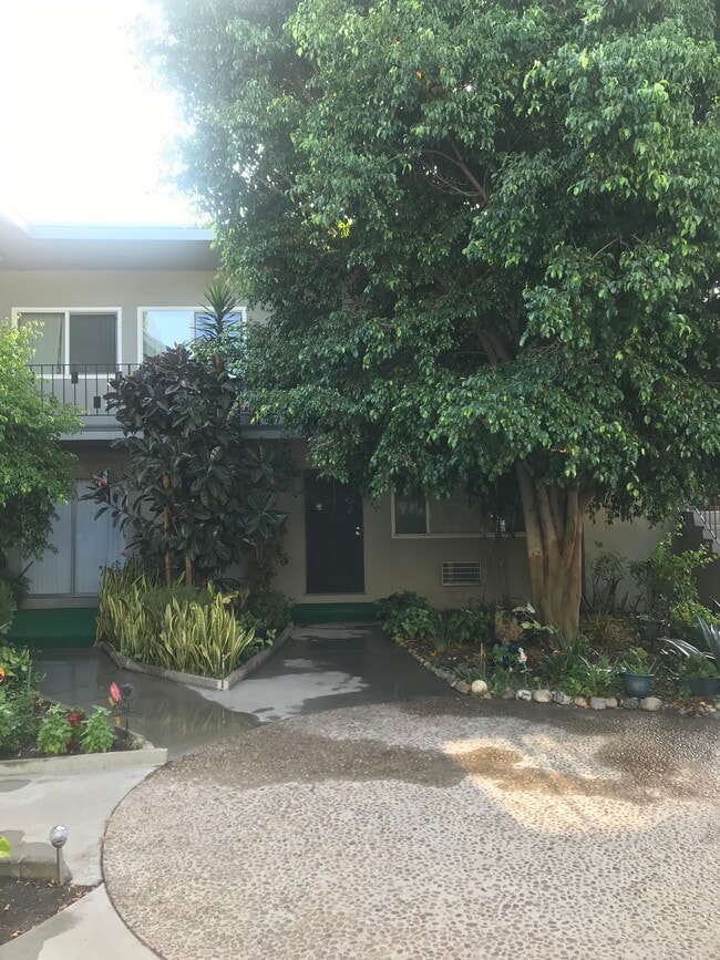 6620 Whitsett Ave