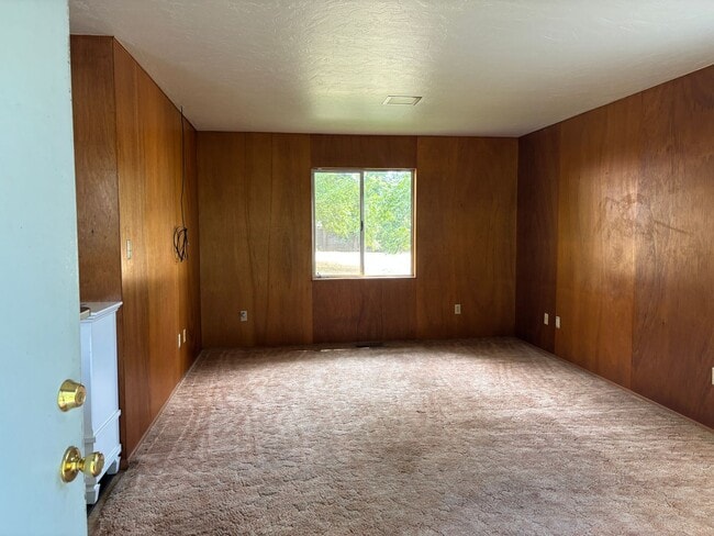 Photo - Country Environment in Town