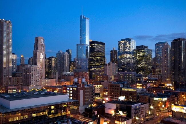 Gorgeous view - 316 W Erie St Unit 807