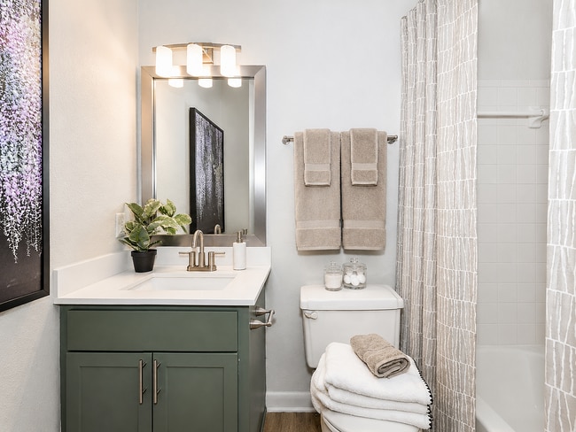 Modern apartment bathrooms with clean, stylish finishes.