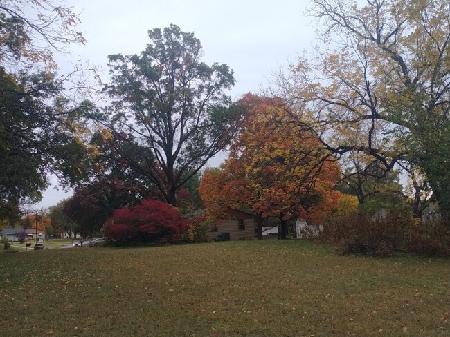 Photo - 2319 N 85th St