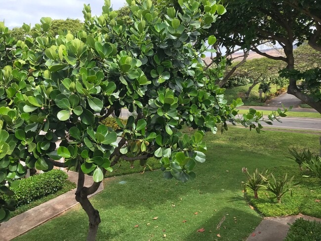 Photo - 296MAT Unit 26B