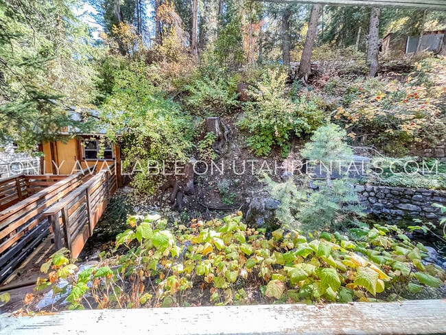 Photo - 3162 E Big Pne Cyn