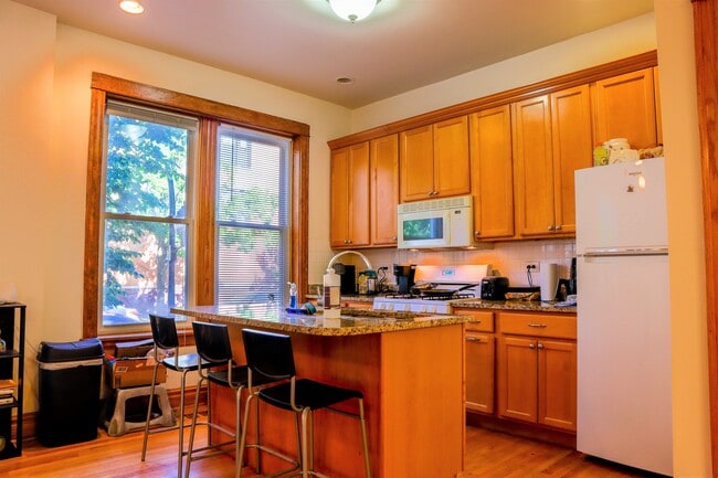 1500 W Polk Apt 1M - Kitchen/Living Room - Harris Point Chicago