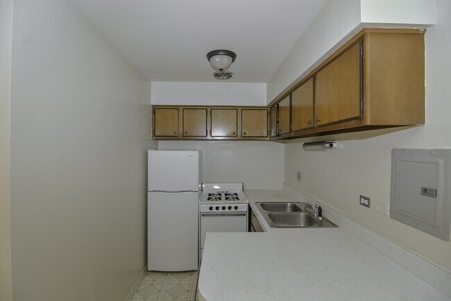 Photo - 675 W Wrightwood Unit 905