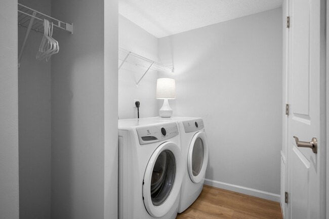 Photo - Wilcox Meadows