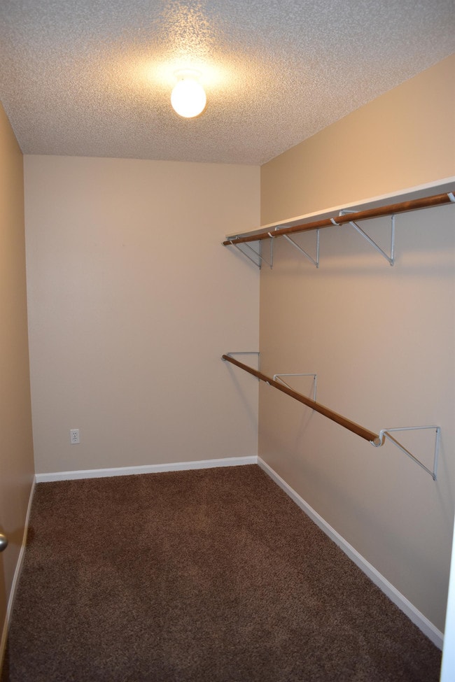 Photo - 2923 Bluff Ridge Dr
