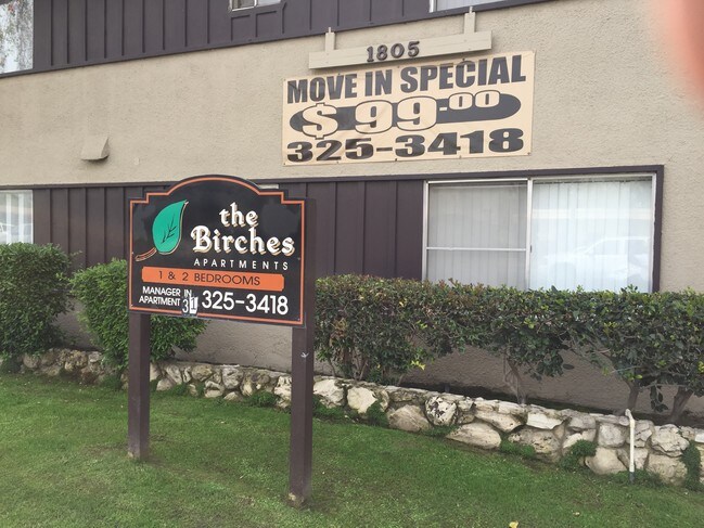 The Birches - The Birches