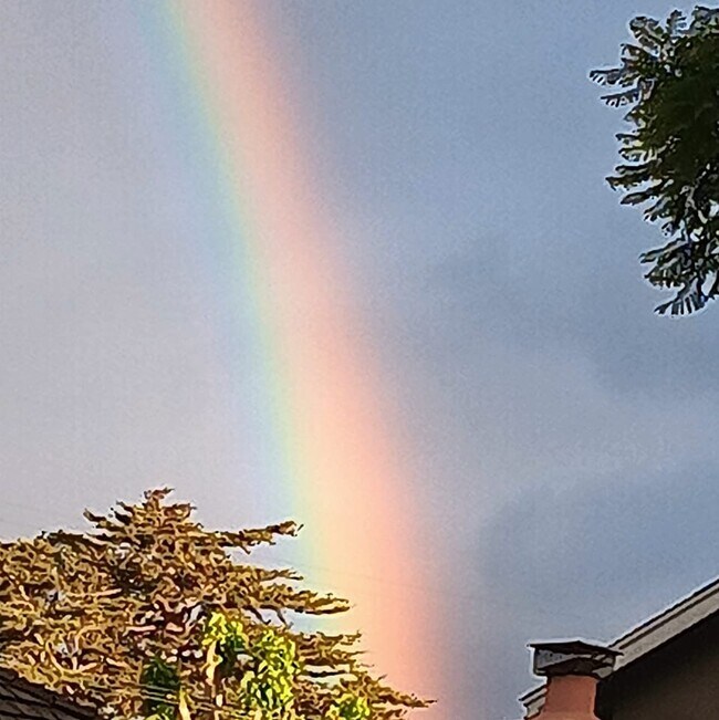 Photo - 3935 Lime Ave Unit Off Market