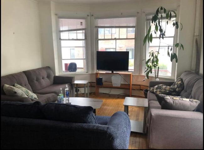 Photo - 105-1 Bool St