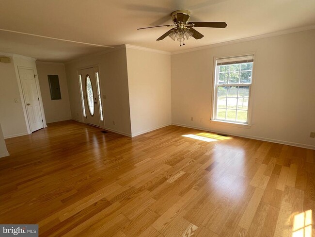 Photo - 245 7th St