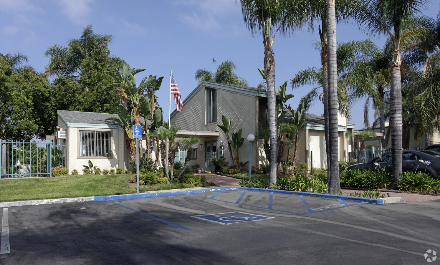 Plum Tree - Plum Tree Apartments