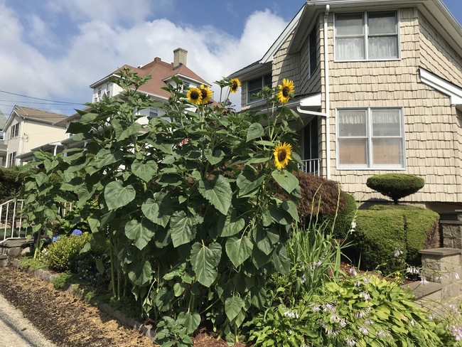 Photo - 225 Sickles Ave Unit 1