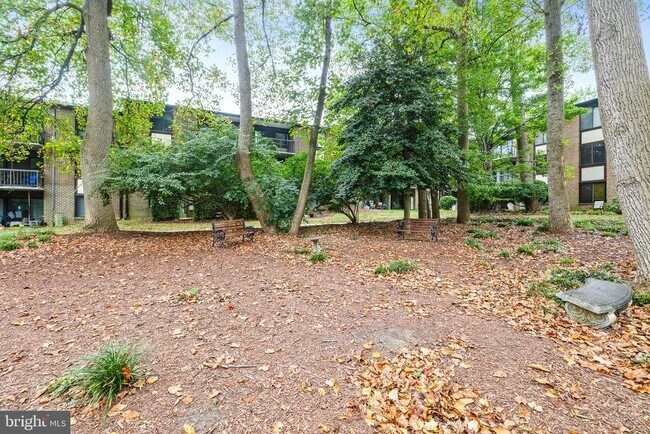 Building Photo - 9812 Kingsbridge Dr Unit 102 Rental