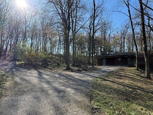 Photo - Private and Serene Beauty