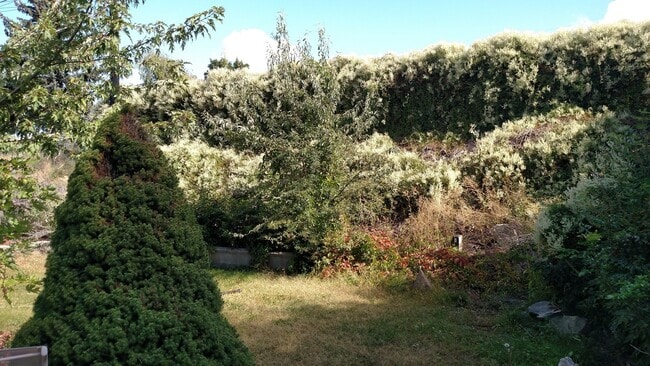 Photo - 4 bedroom 2 bath home with workshop