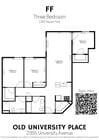 3BD- FF