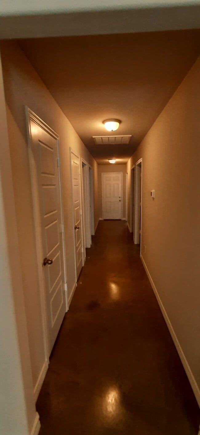 Photo - 110 Lollipop