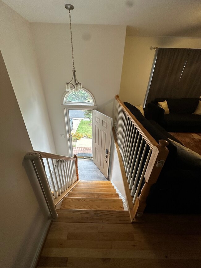 Photo - 103 Mummert Cir