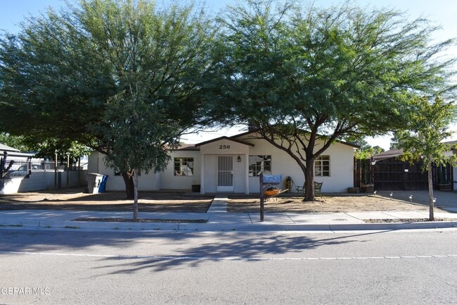 Building Photo - 256 Yale Ave