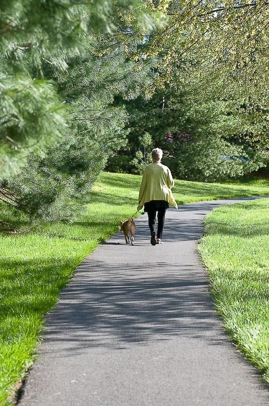 Walking Trails