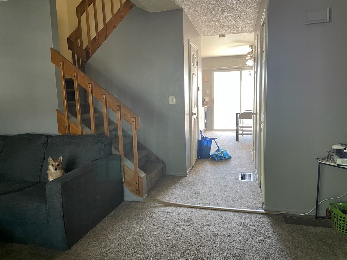 View from front door - 1953 Giltshire Dr