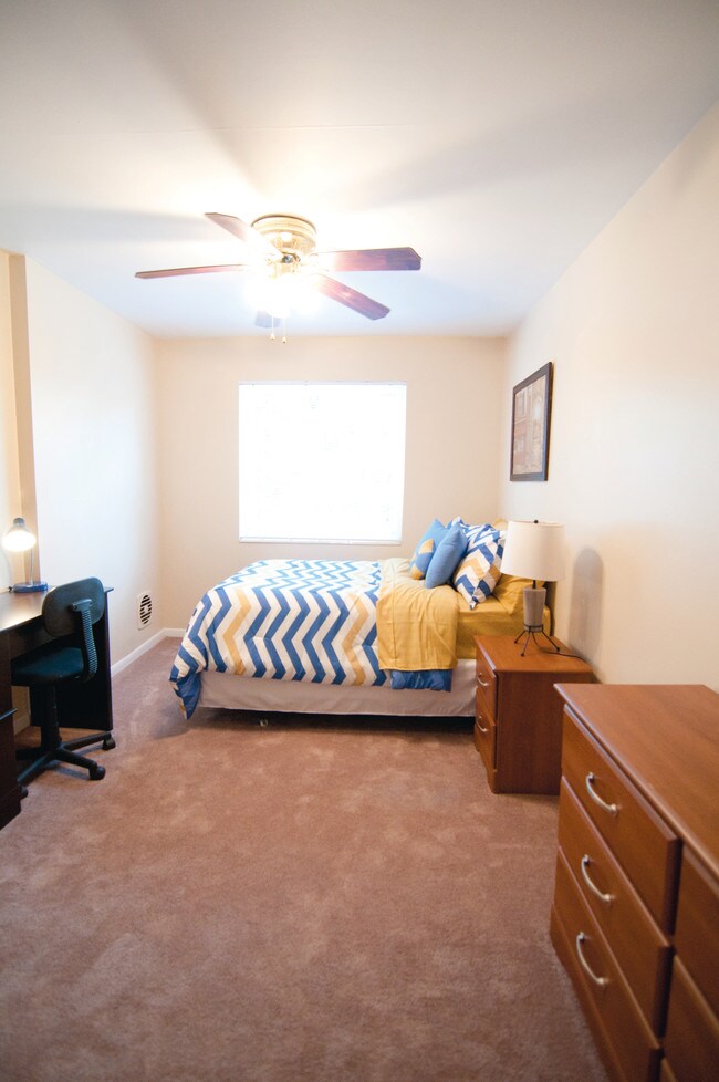 Photo - Collegewood- All One Bedroom