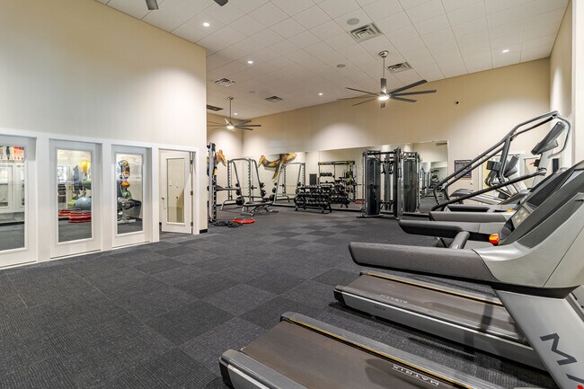 Photo - The Reflections