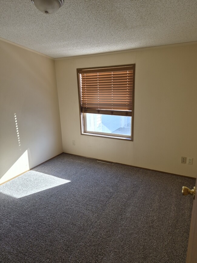 Photo - 134 Paddock Cir