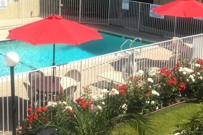 pool area