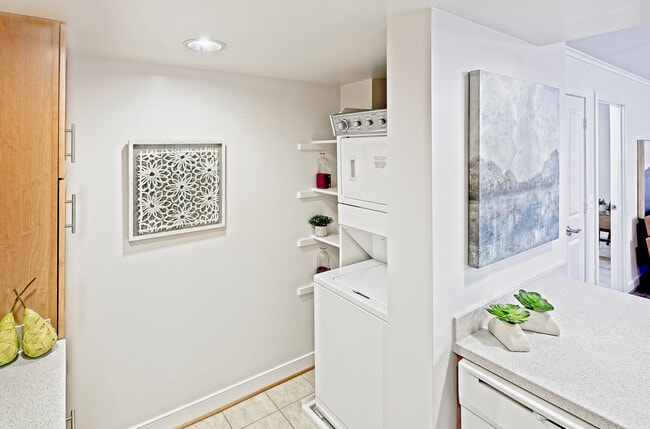 Photo - Thomas Court