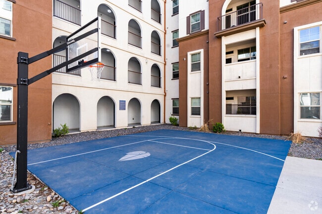 Basketballl - The Republic