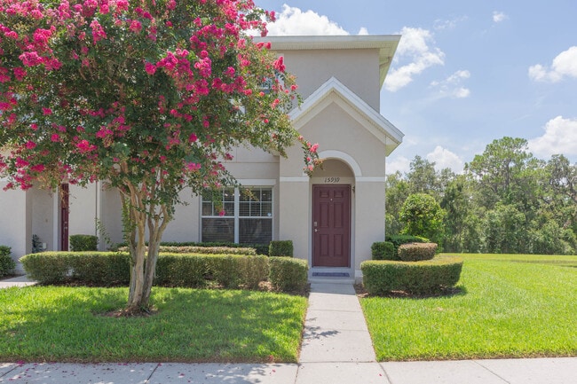 Building Photo - 15939 Fishhawk View Dr Rental