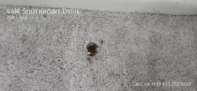 Photo - 44 Southpoint Dr