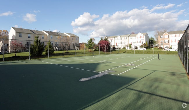 basketball/tennis court