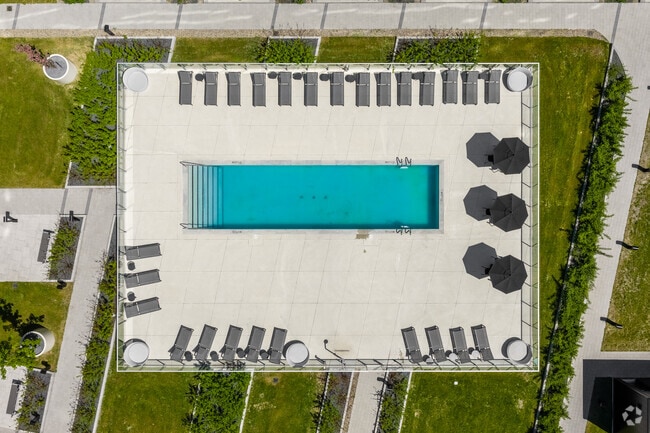 Courtyard - Bloome