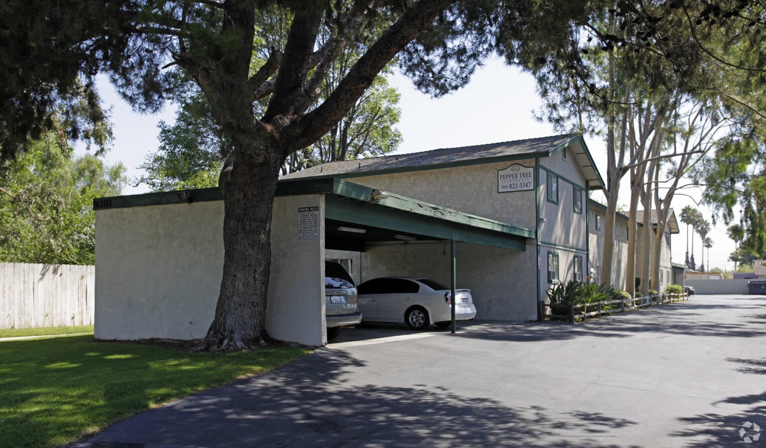 Primary Photo - Pepper Tree Apartments