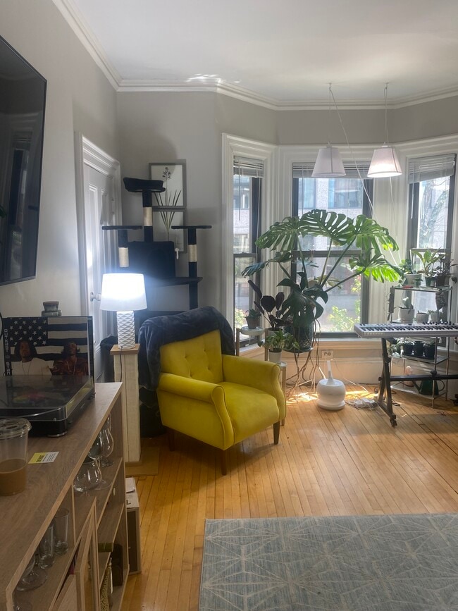 Photo - 15 Story St Unit 2