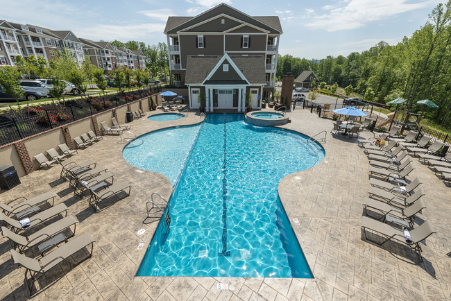 Pool - The Reserve at Belvedere Apartments