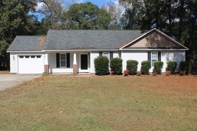 3 Bed/2 Bath Home - 10 minutes to SJAFB! - 3 Bed/2 Bath Home - 10 minutes to SJAFB!