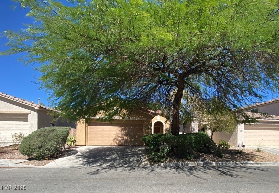 Photo - 10789 Muscari Way House