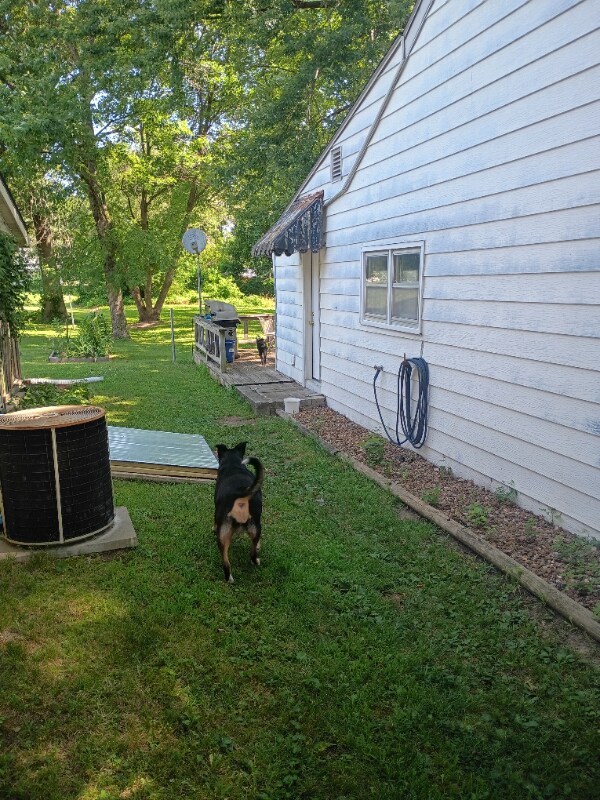 Photo - 817 E Franklin St Casa