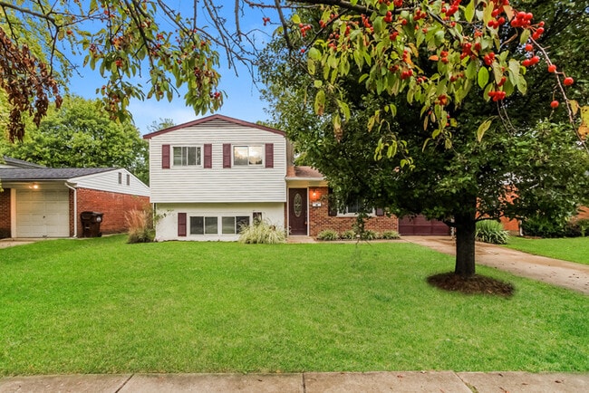 Photo - 12151 Chesterdale Rd House