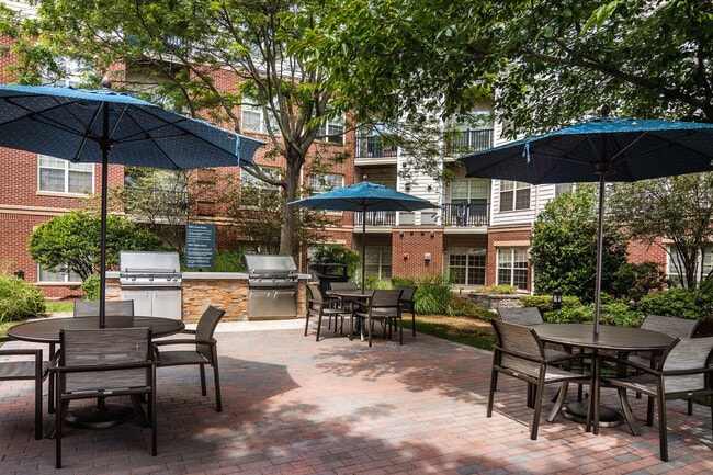 The Aven at Newton Highlands