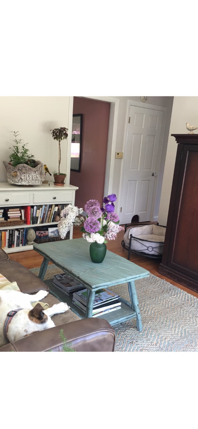 Photo - 24 Dibiase St